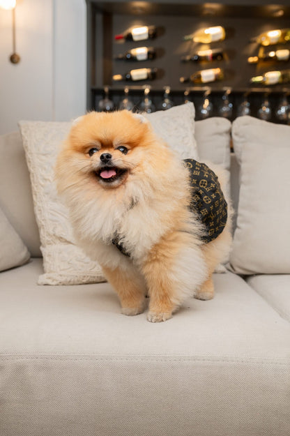 Vestido con monograma de Louis Pup