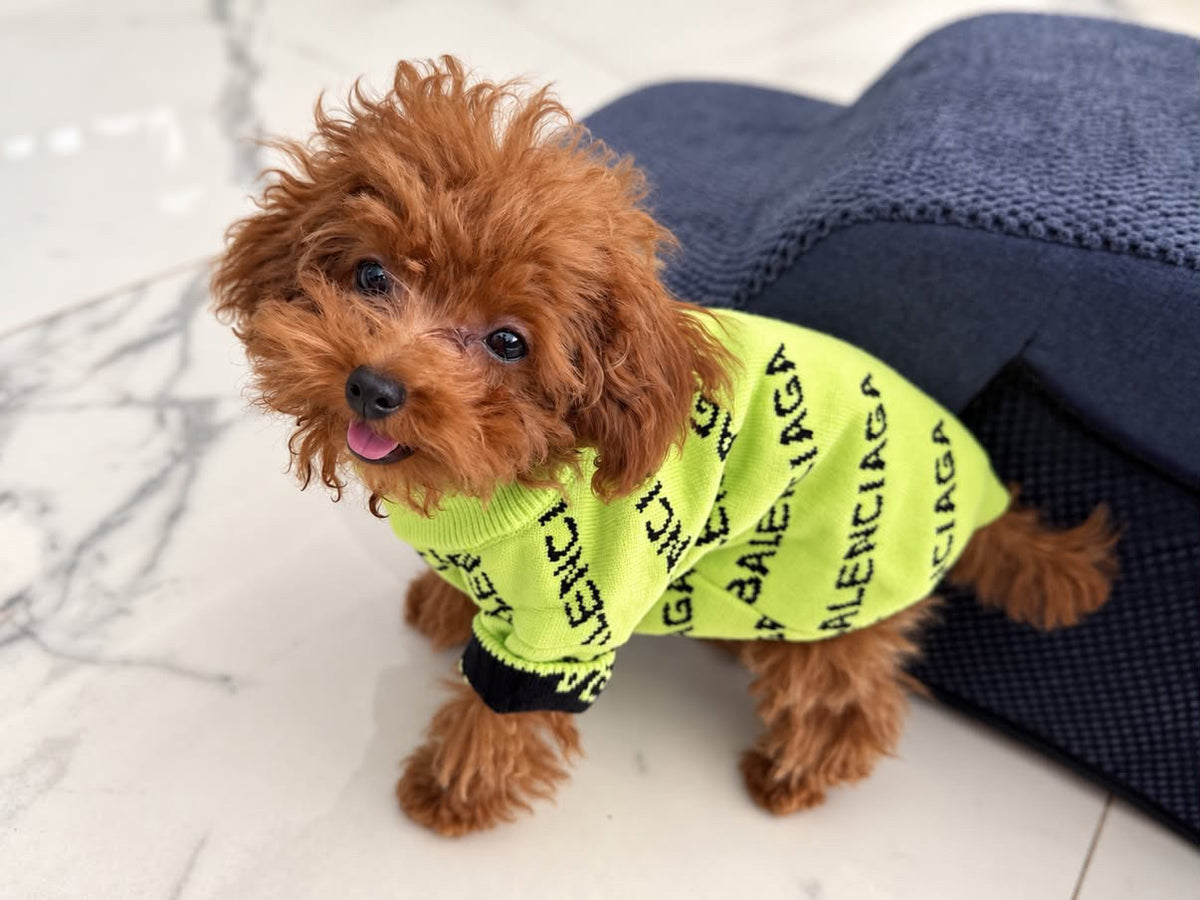 BALENCI SWEATER