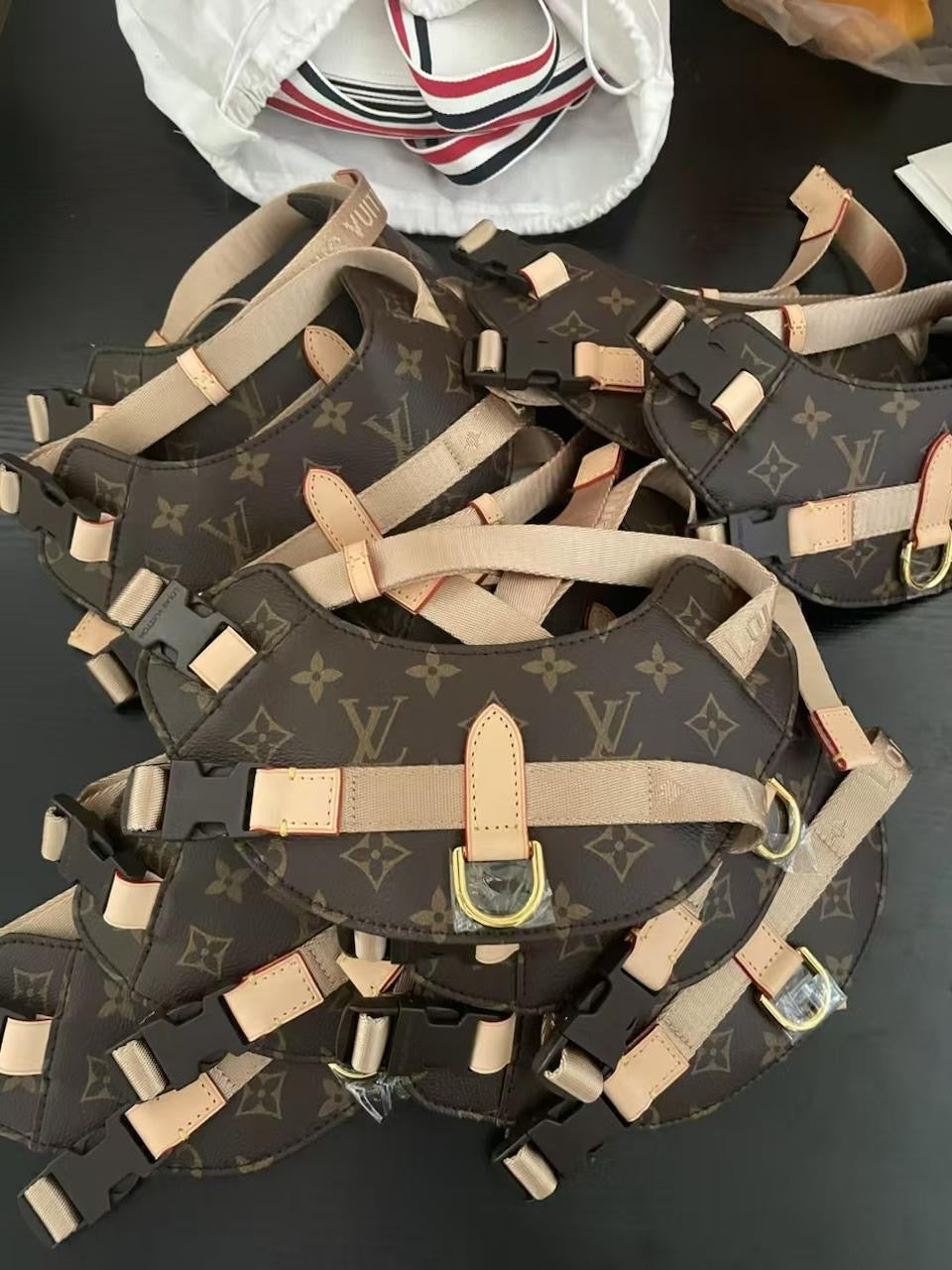 Leny Harness