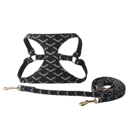 Goyi Collar & Leash Set