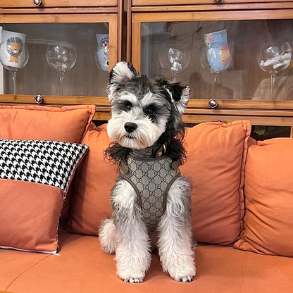 LUXUS-GESCHIRR, HALSBAND UND LEINE AUS LEDER FÜR HUNDE