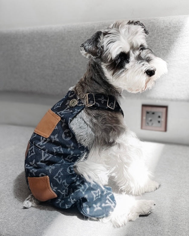 Sweet Guzzino sweater