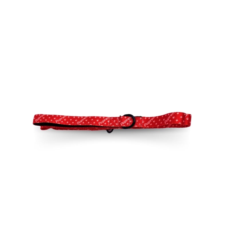 SUMA Walking Set (Halsband, Geschirr, Leine, Fliege, Tasche)