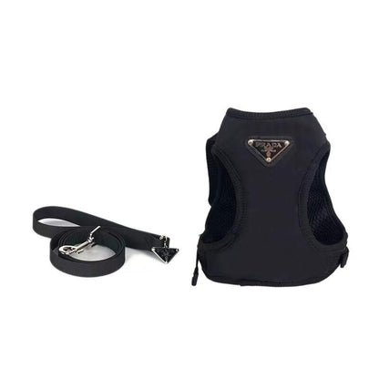 Conjunto de arnés y correa Pawda