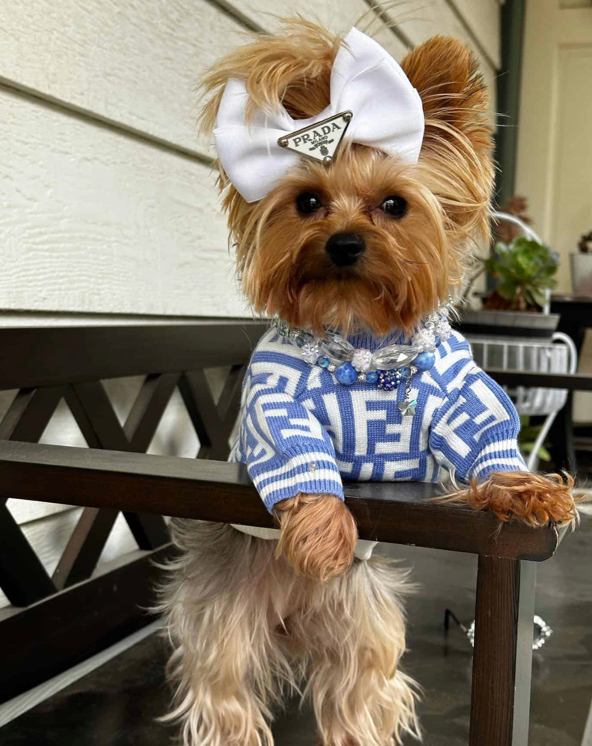 MARINE HUNDEPULLOVER