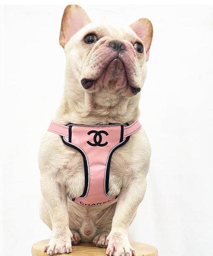 Chanyla Harness & Leash set