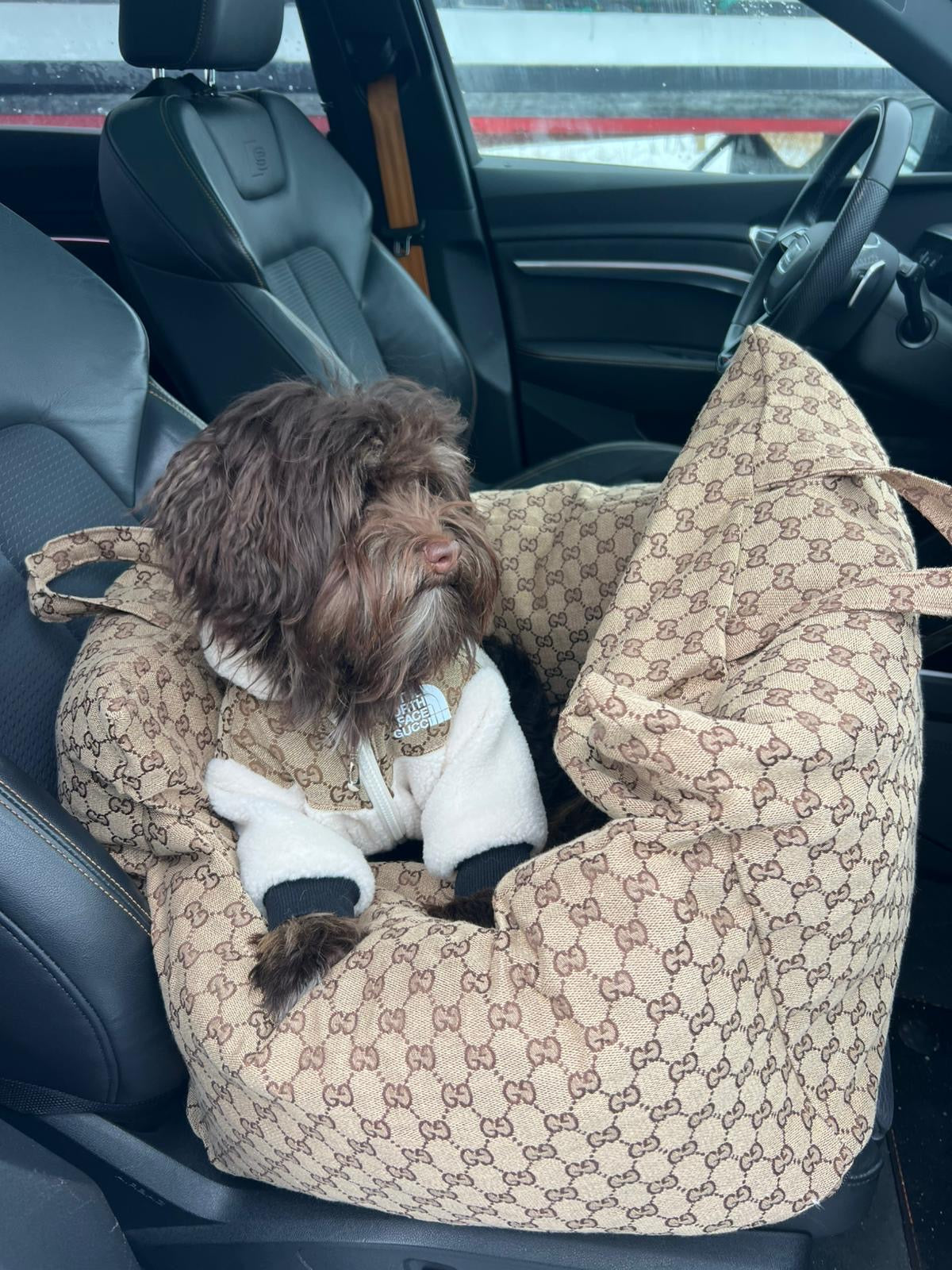 ZUCCINI DOG CAR SEAT FOR  DOGS