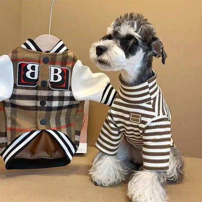 Baseball under sweater