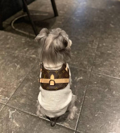 Leny Harness