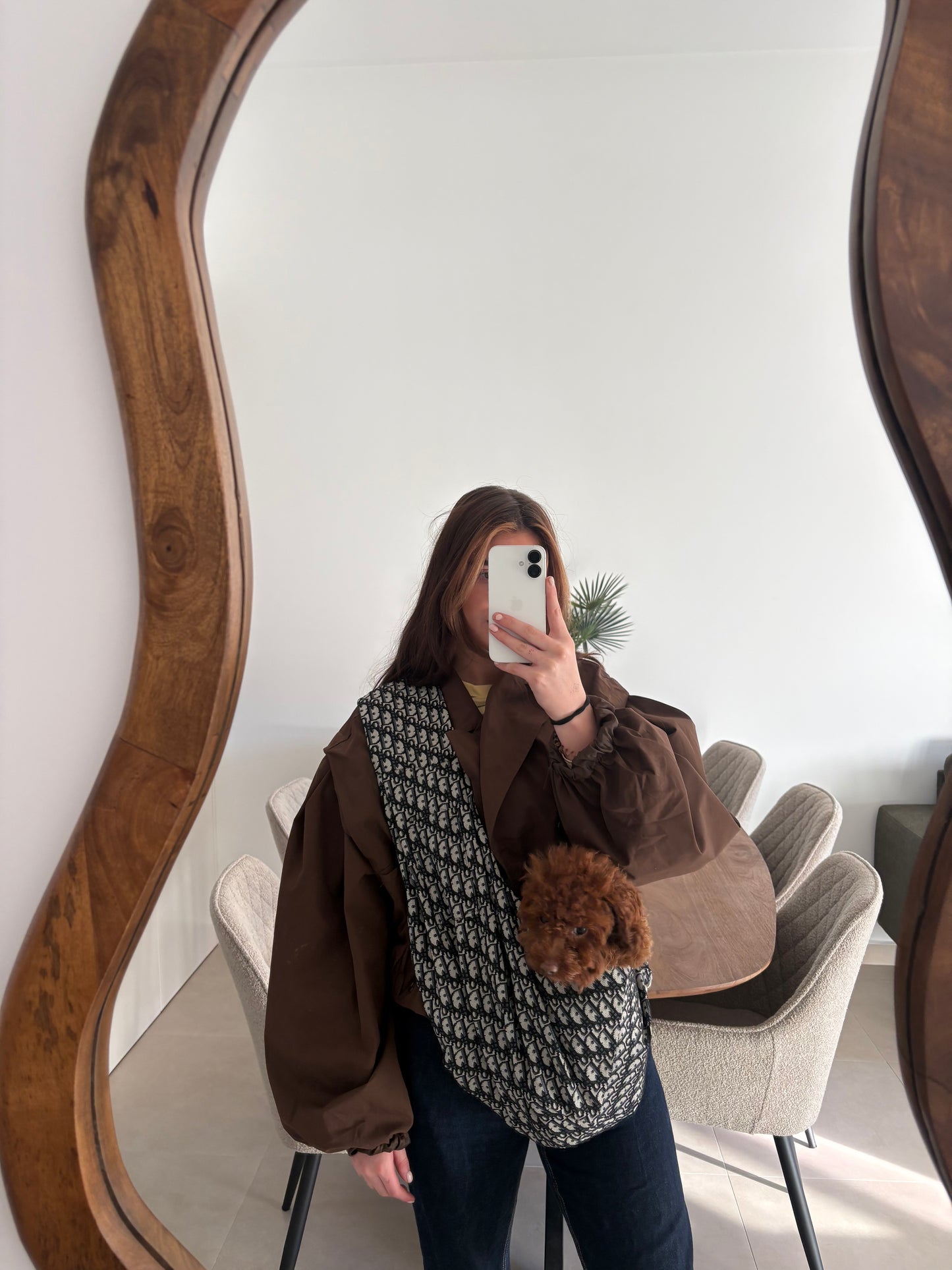 BOLSA DE TRANSPORTE DINONO