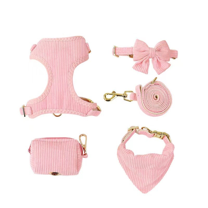 QUEENY 5-TEILIGES SET