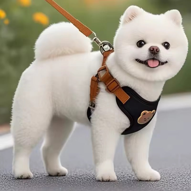 Bearly Harness