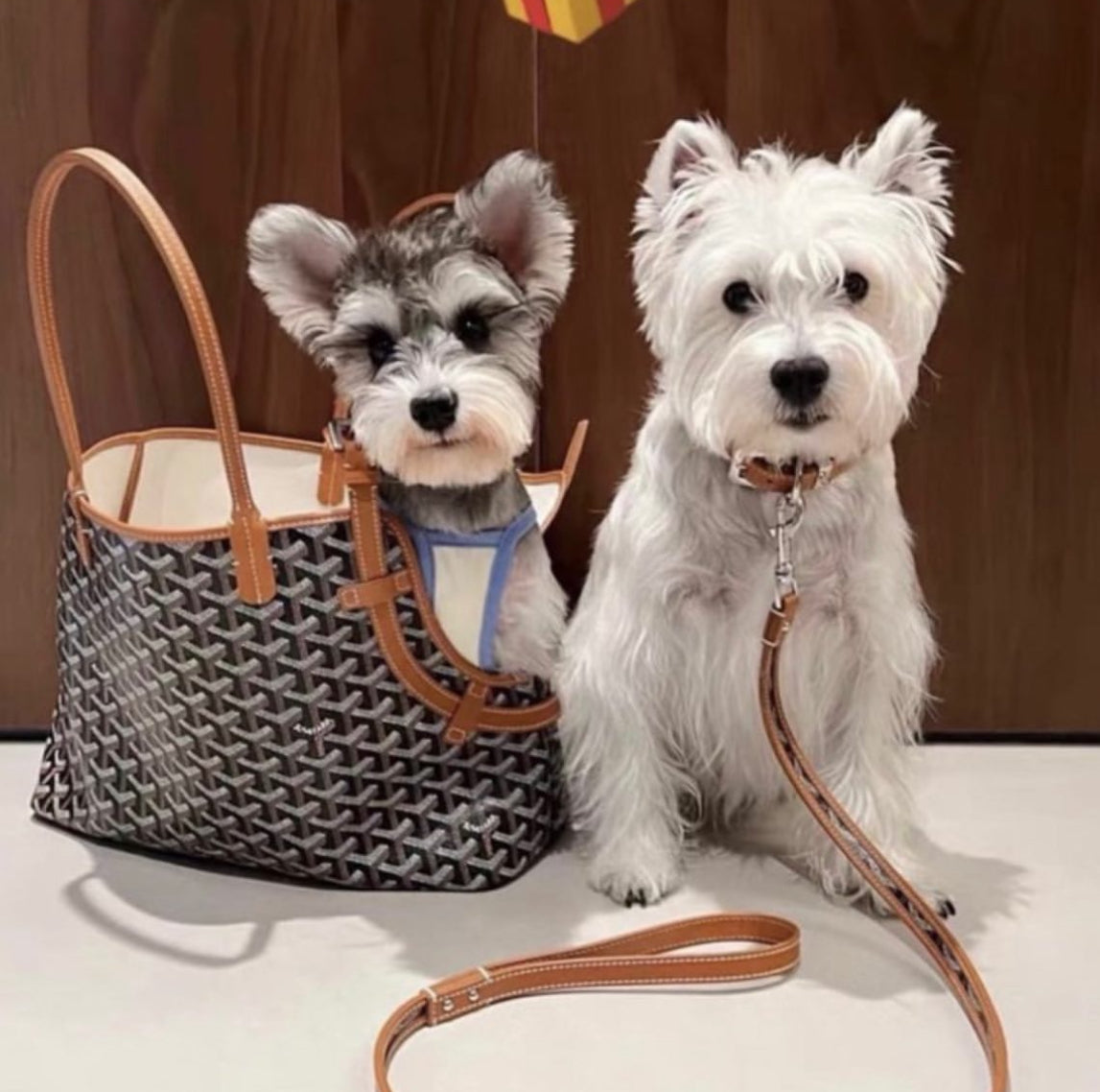 JAMPINO BAG