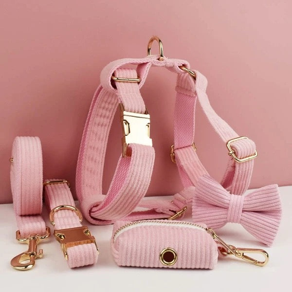 QUEENY 5-TEILIGES SET