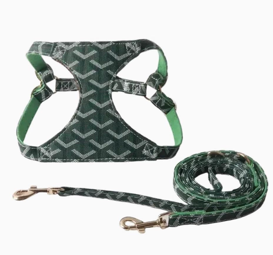 Goyi Collar & Leash Set