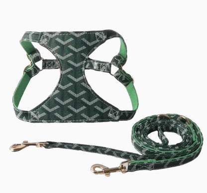 Goyi Collar & Leash Set