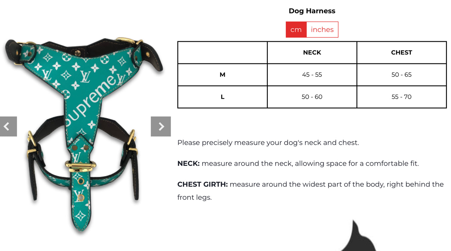 LOUIS PAWTTON X PUPREMO HERO HARNESS