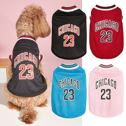 Chicago Basketball Haustierweste