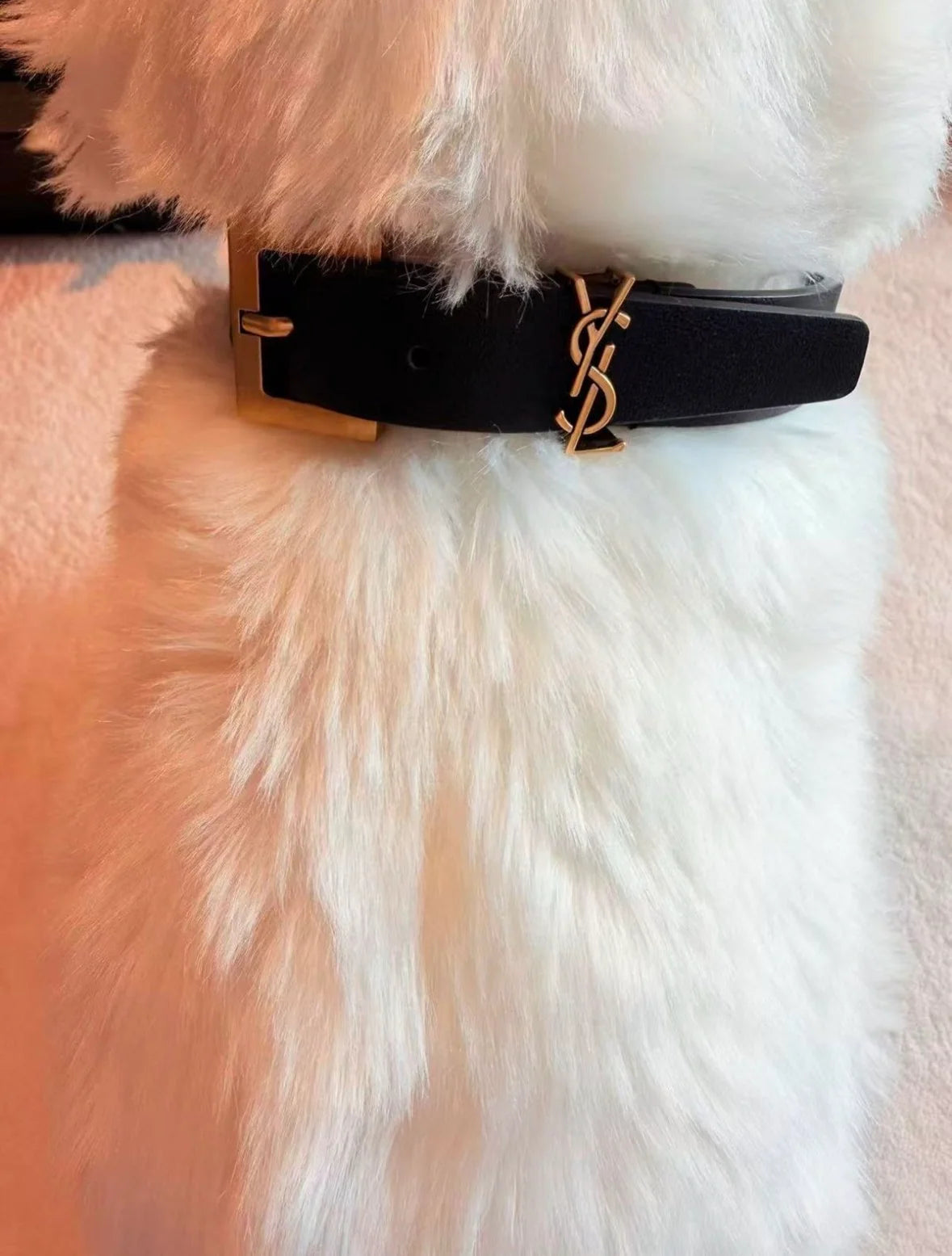 Belina Collar & Leash Set