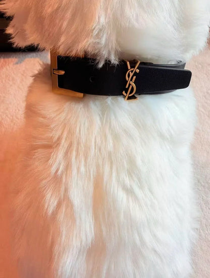 Belina Collar & Leash Set