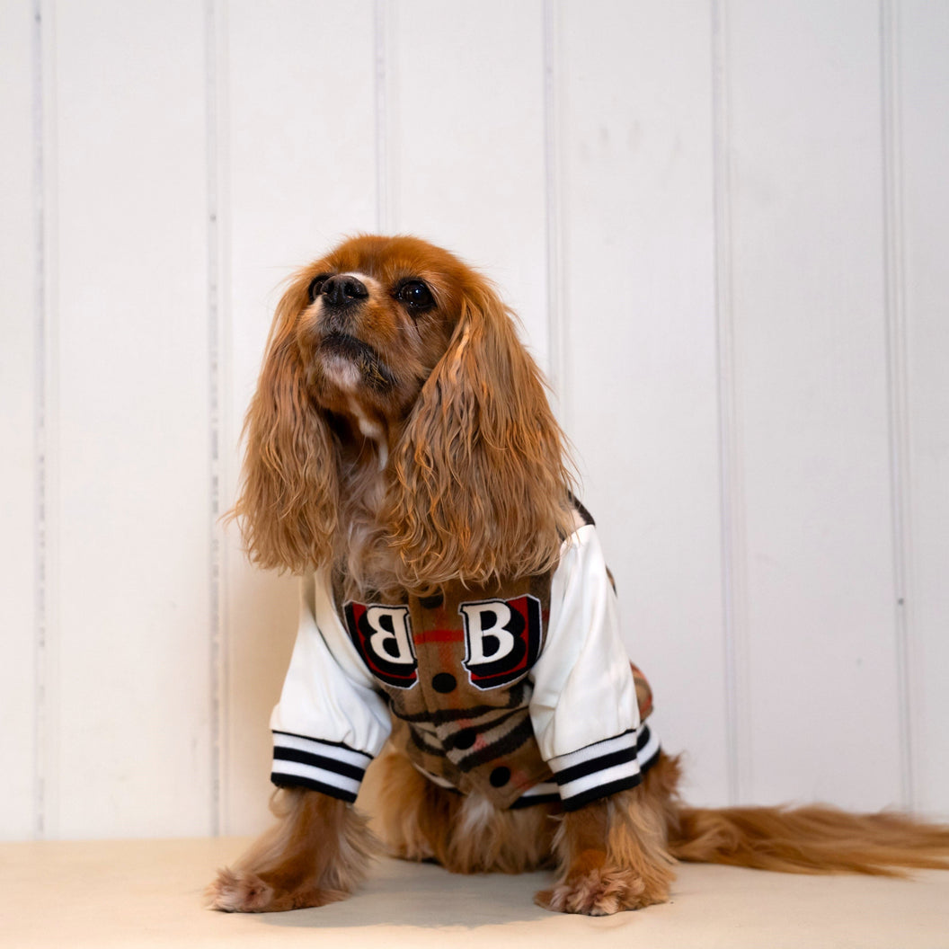Baseball BB