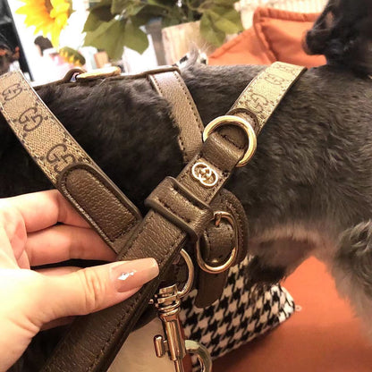 LUXUS-GESCHIRR, HALSBAND UND LEINE AUS LEDER FÜR HUNDE