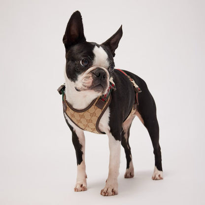 LUXURY LEATHER POOCHI HARNESS & LEASH