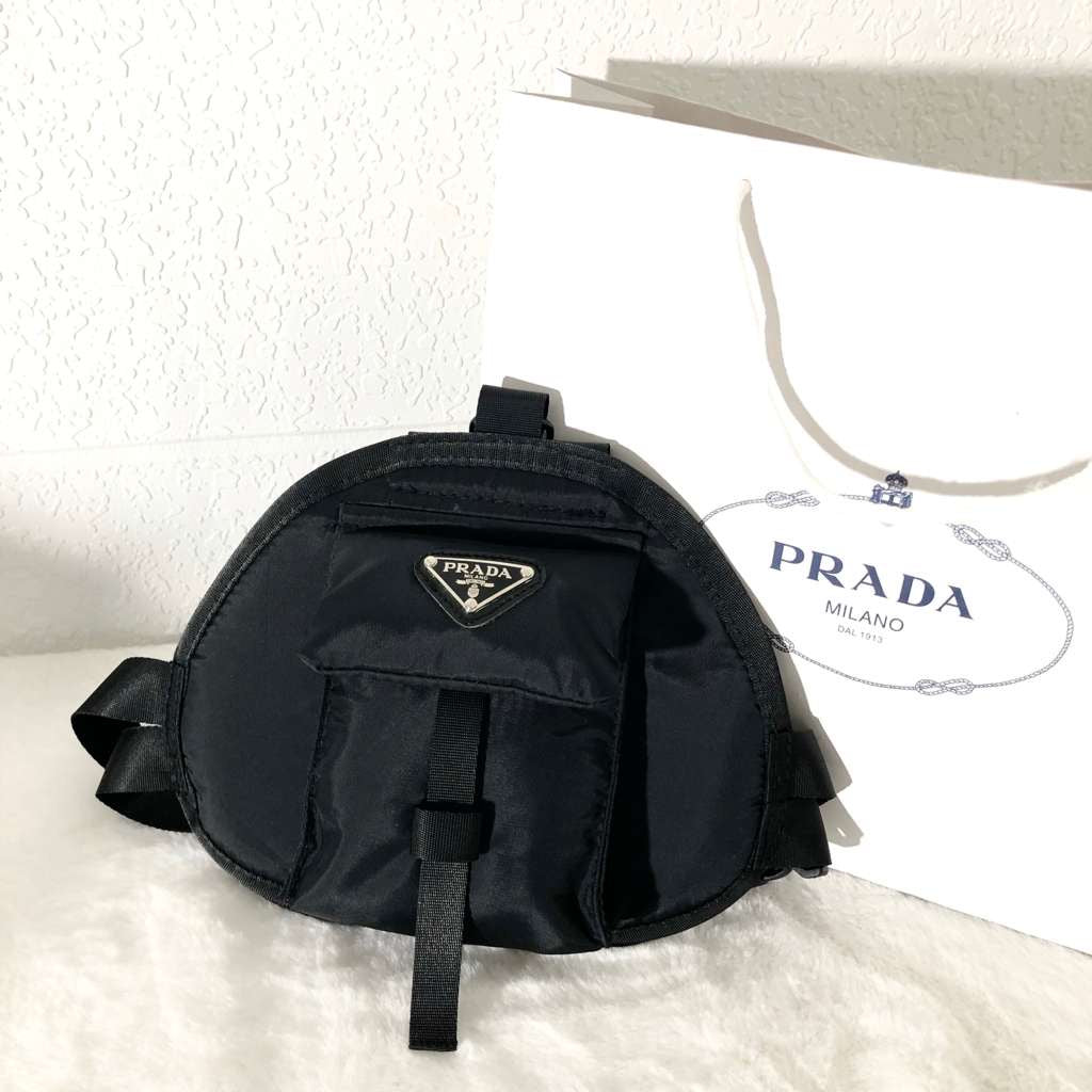Bag (with little bag) with leash