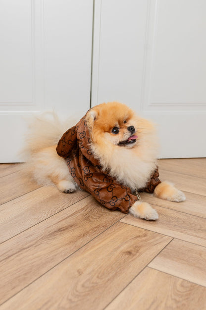 PUCCINO JACKE OHREN