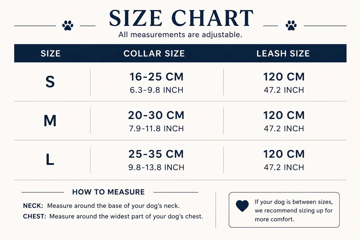 Dinarina Collar & Leash set