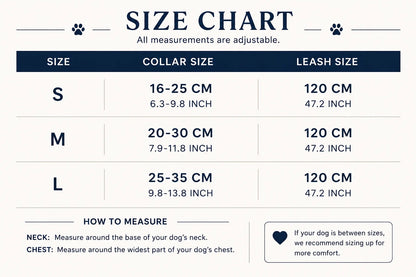 Dinarina Collar & Leash set