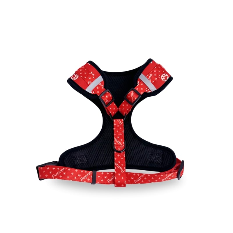 SUMA Walking Set (Halsband, Geschirr, Leine, Fliege, Tasche)