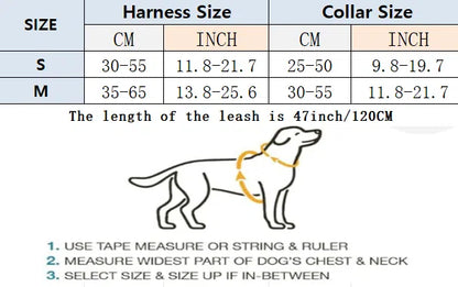 Leny Harness