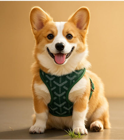 Goyi Collar & Leash Set