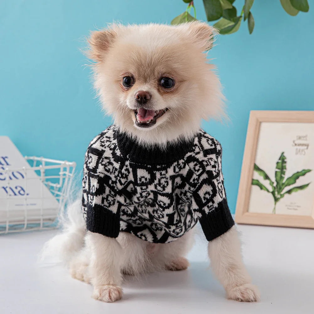 DOGIOR SCHWARZER PULLOVER 