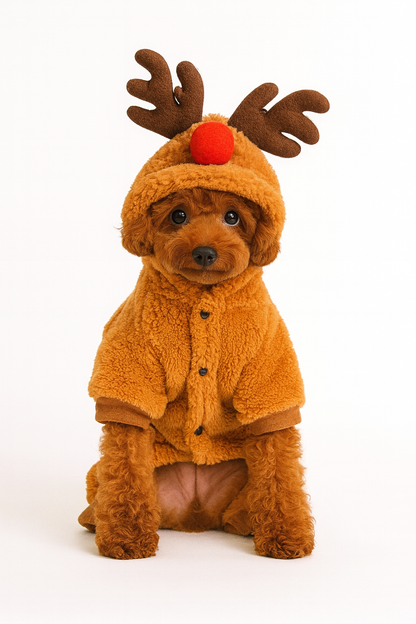 RUDOLPH’S COZY REINDEER ONESIE