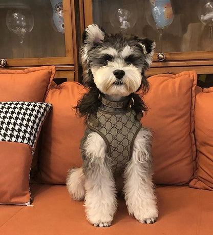 LUXUS-GESCHIRR, HALSBAND UND LEINE AUS LEDER FÜR HUNDE