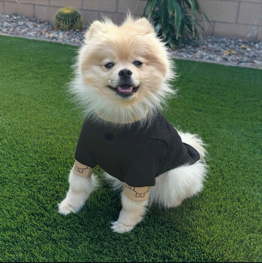 GRRRCI Rollkragenpullover