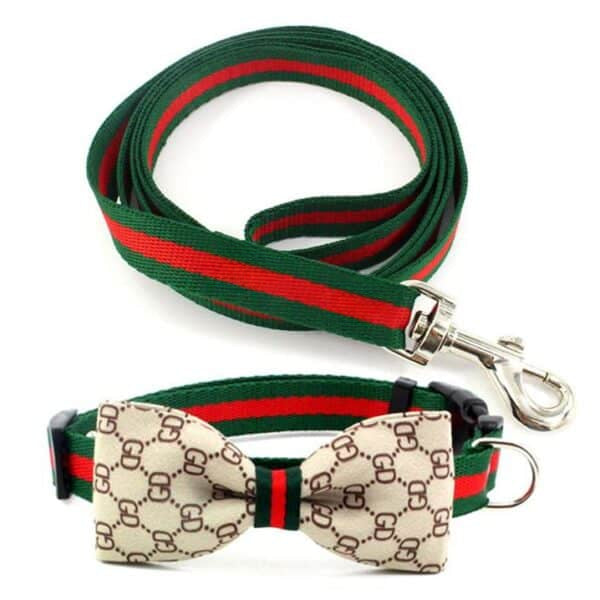 PAWCCI FLIEGEN-HALSBAND-LEINE-SET