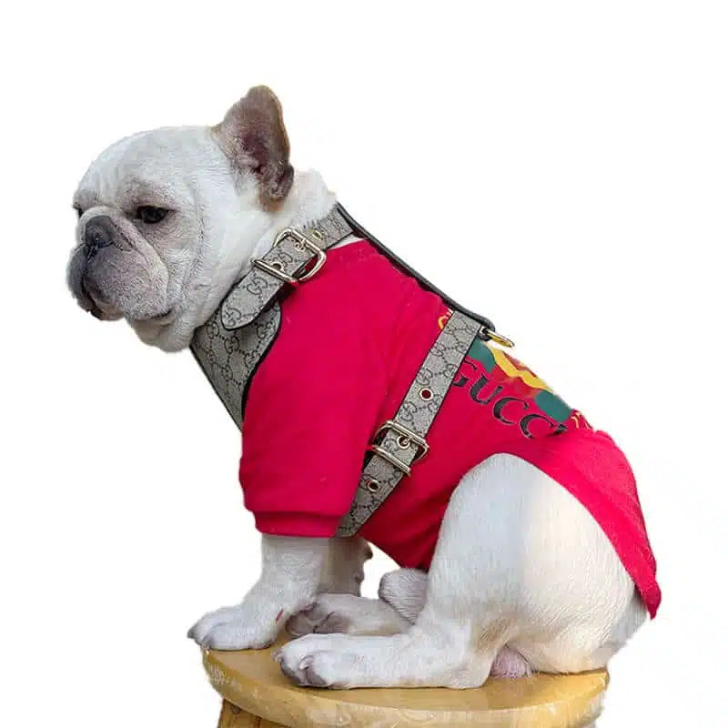 PAWCCI HERO CLASSIC GESCHIRR &amp; LEINE SET 