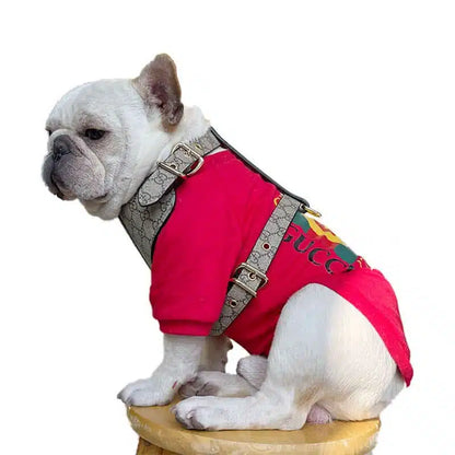 PAWCCI HERO CLASSIC GESCHIRR &amp; LEINE SET 