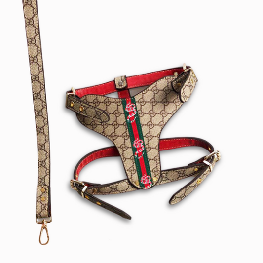 PAWCCI HERO CLASSIC GESCHIRR &amp; LEINE SET 