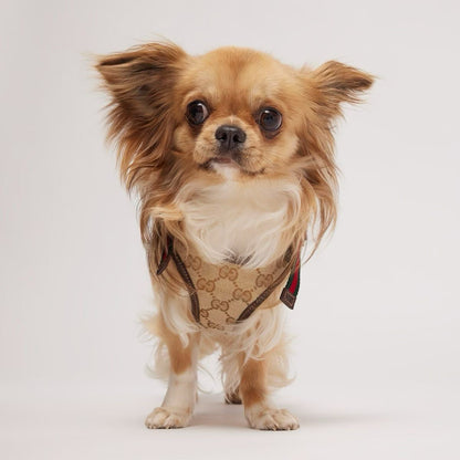 LUXURY LEATHER POOCHI HARNESS & LEASH