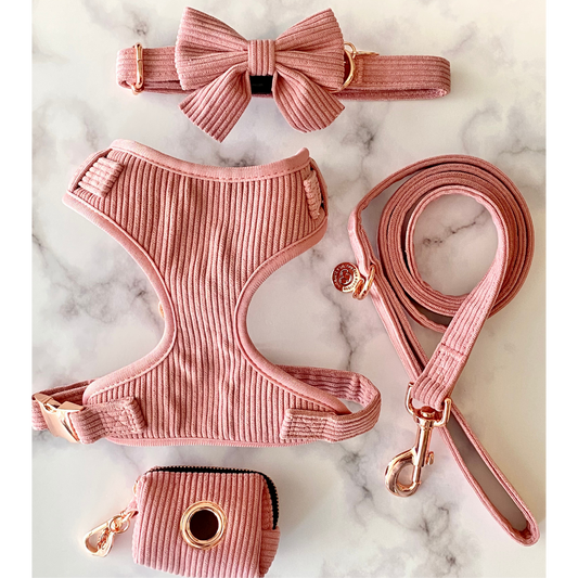 QUEENY 5-TEILIGES SET