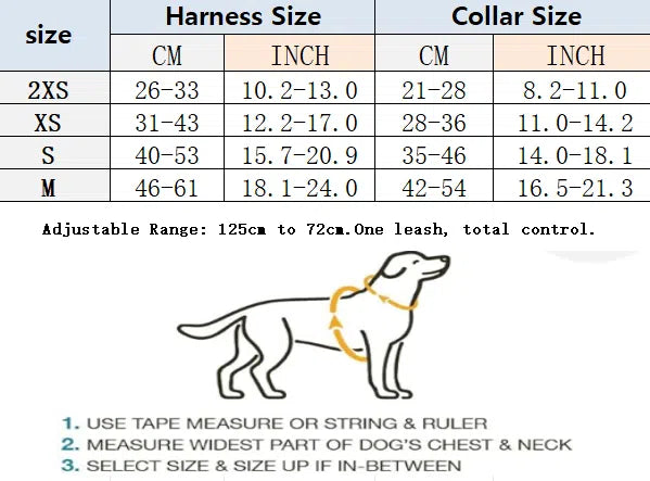 Hilla Harness & Leash set