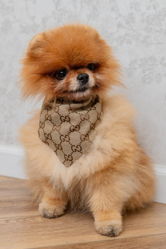 SCARF GIOGIO BROWN