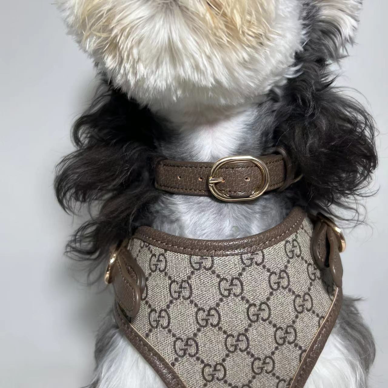 LUXUS-GESCHIRR, HALSBAND UND LEINE AUS LEDER FÜR HUNDE