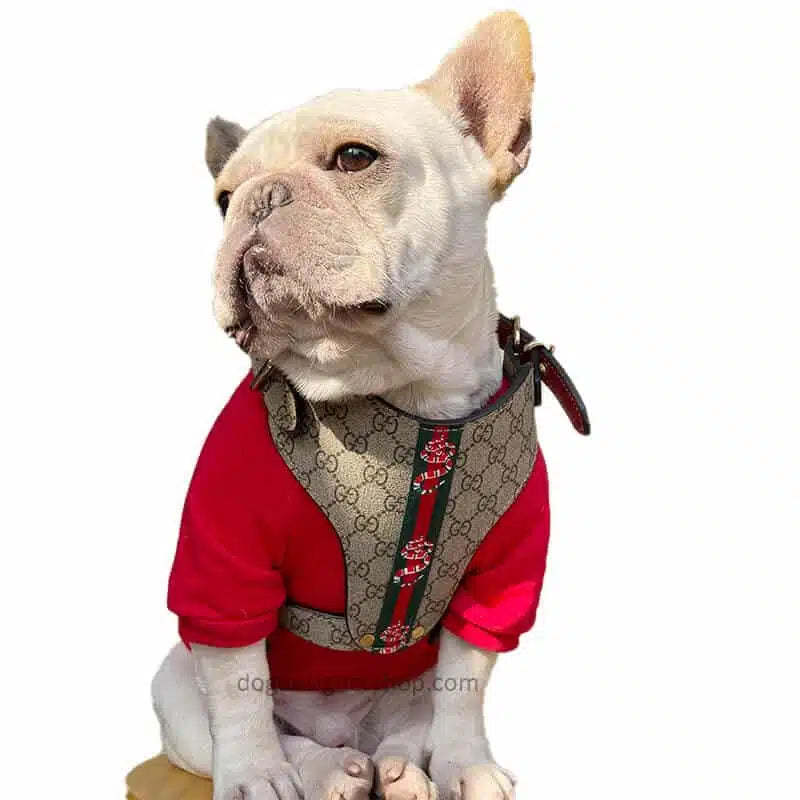 PAWCCI HERO CLASSIC GESCHIRR &amp; LEINE SET 