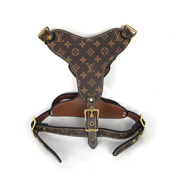 LOUIS PAWTTON HERO HARNESS & LEASH SET