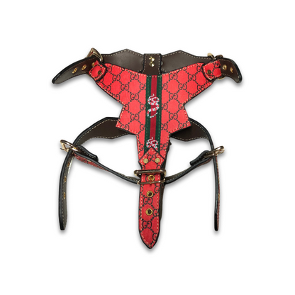 PAWCCI ROCKSTAR ROTES GESCHIRR- UND LEINE-SET